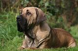 FILA BRASILEIRO 024